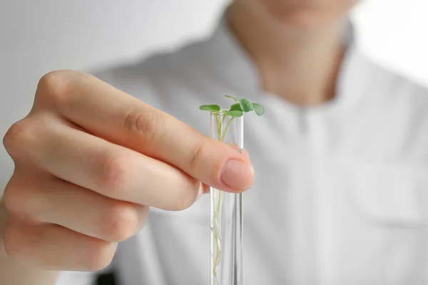 Mão segurando tubo de ensaio com planta — Fotografia de Stock