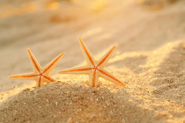 Zee kust zand — Stockfoto