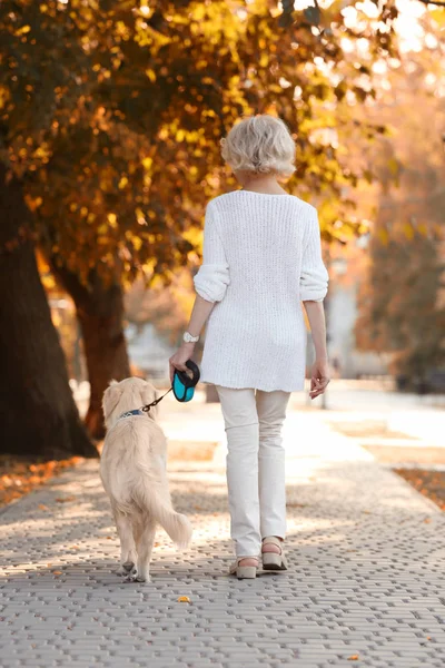 Senior mujer caminando con perro — Foto de Stock