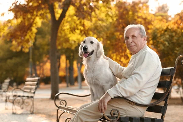 Starszy człowiek i wielki pies — Zdjęcie stockowe