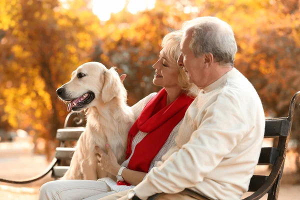 Casal sênior e cachorro grande — Fotografia de Stock