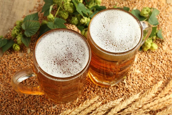 신선한 맥주와 재료 — 스톡 사진