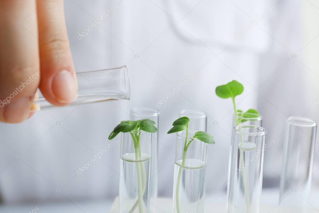 hand pouring water into test tube