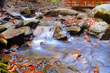 büyük taşlar ve dağ dere