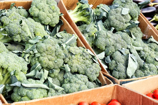 Brokoli segar dalam kotak kardus — Stok Foto