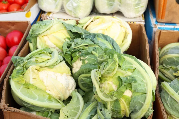 Fresh cauliflower in wooden boxes — Stock Photo, Image