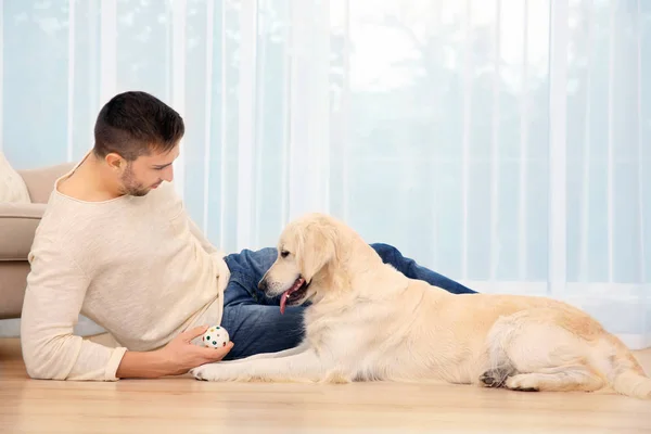 Labrador ile oynayan adam — Stok fotoğraf
