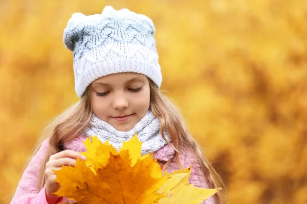 Schattig meisje met boeket van esdoorn bladeren — Stockfoto