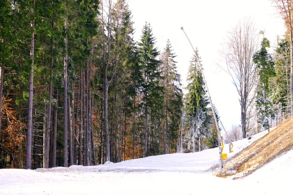 Beautiful forest on winter day — Stock Photo, Image