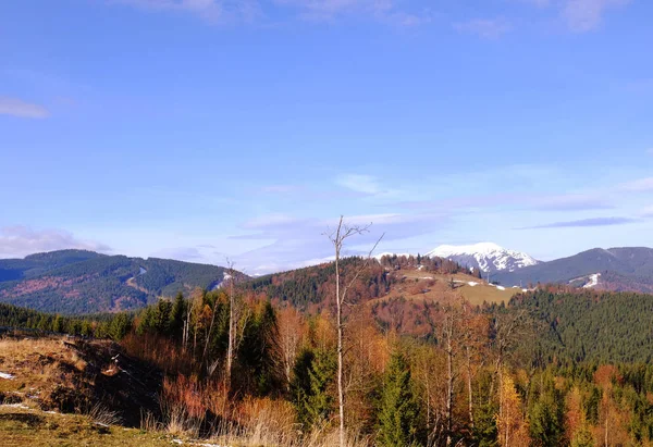 Beautiful landscape with mountains — Stock Photo, Image