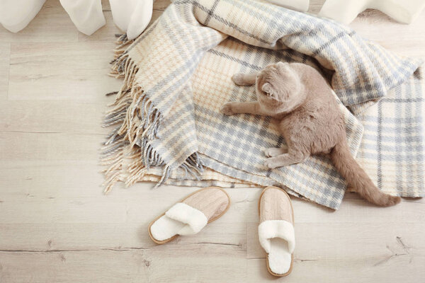 Милая кошка лежит на мягкой клетке
