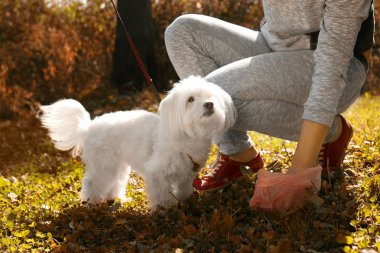 Kadın köpek kakası toplama