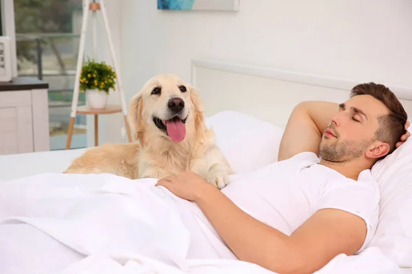 Chien Labrador avec propriétaire — Photo