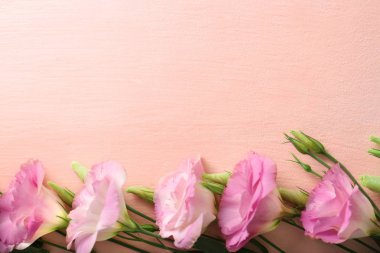 Taze çiçekli çerçeve