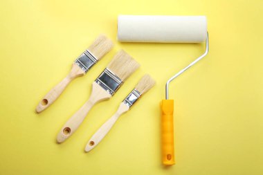 Resim rulo ve fırça 