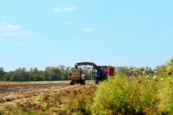 Vendemmia con moderne attrezzature agricole — Foto Stock