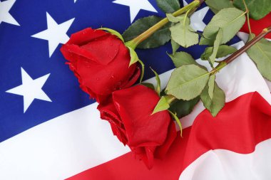 Gül ve Amerikan bayrağı