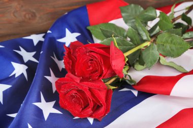 Amerikan bayrağı kırmızı gül