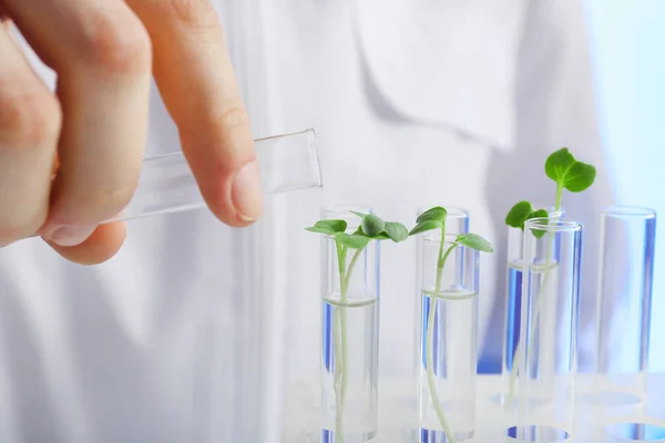 Hand pouring water into test tube — Stock Photo, Image