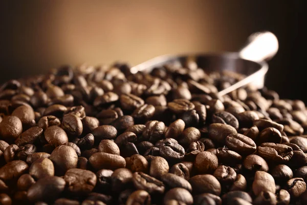 Taze kahve çekirdekleri — Stok fotoğraf