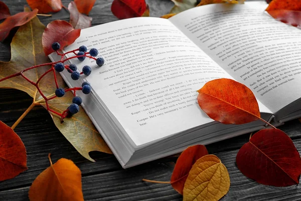 Nyitott könyv és őszi levelek — Stock Fotó