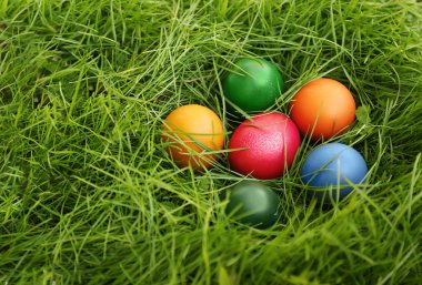 Çimlerin üzerinde paskalya yumurtası