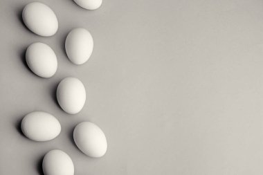 Beyaz Tavuk Yumurtaları