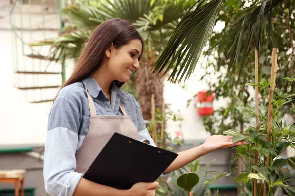 Pretty young florist — Stock Photo, Image