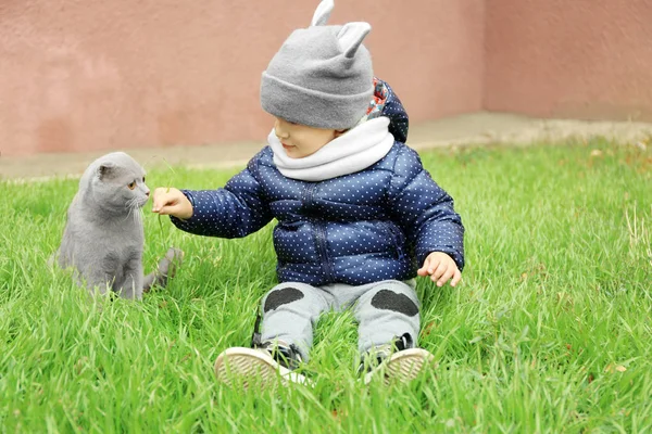 Menina com gato fofo — Fotografia de Stock