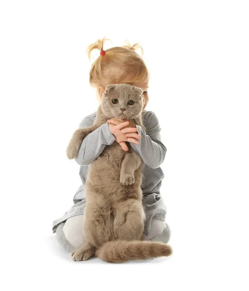 Meisje met pluizige kat spelen — Stockfoto