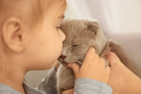 Niña besos lindo gato — Foto de Stock