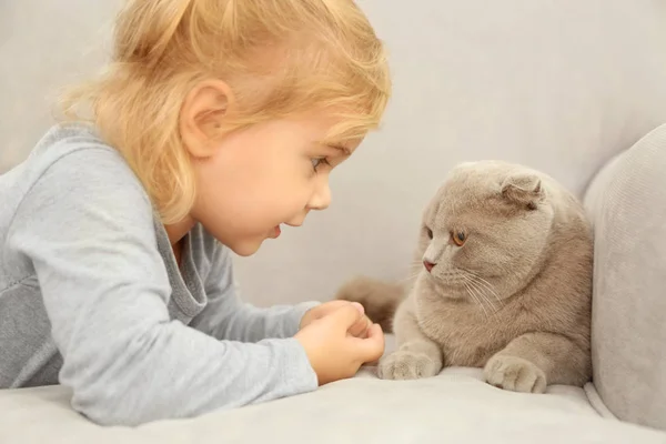 Petite fille avec chat mignon — Photo