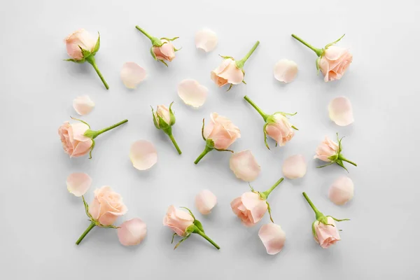 Fresh Beautiful flowers — Stock Photo, Image