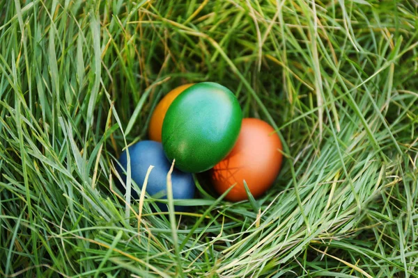 Easter eggs on grass — Stock Photo, Image