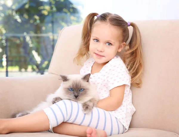 Söt liten flicka med fluffiga katten — Stockfoto
