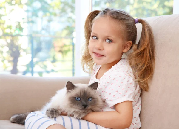 Sevimli küçük kız ile kabarık kedi