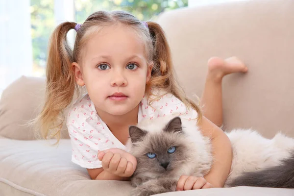 Sevimli küçük kız ile kabarık kedi — Stok fotoğraf