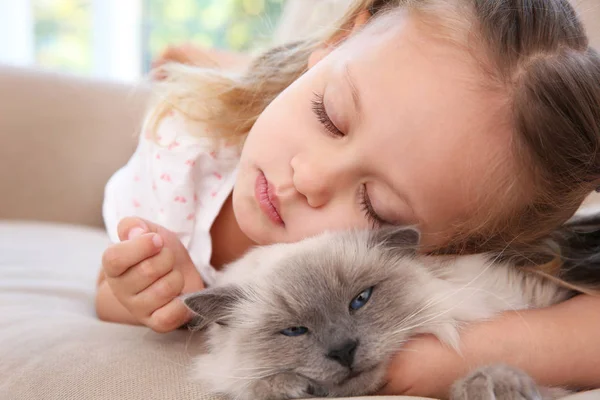 Niedliches kleines Mädchen mit flauschiger Katze — Stockfoto