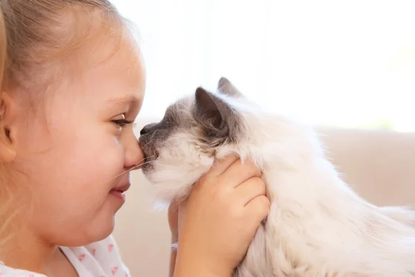 Roztomilá holčička s chlupatou kočičku — Stock fotografie