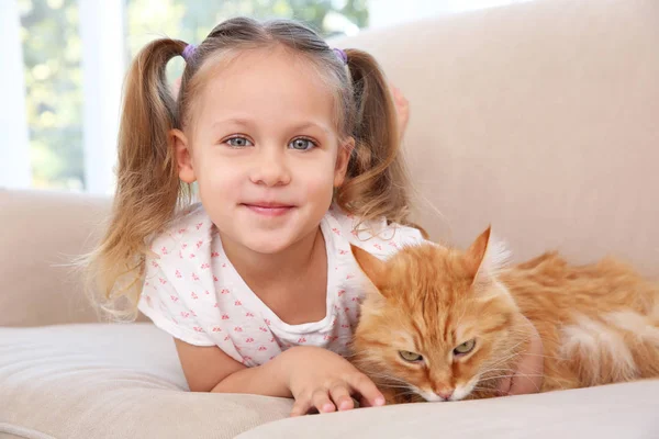 Schattig klein meisje met rode kat — Stockfoto