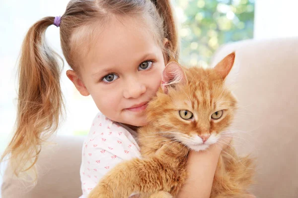 Cute little girl with red cat — Stock Photo, Image