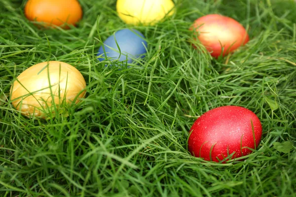 Çimlerin üzerinde paskalya yumurtası