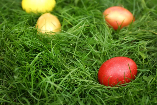 Paaseieren op gras — Stockfoto