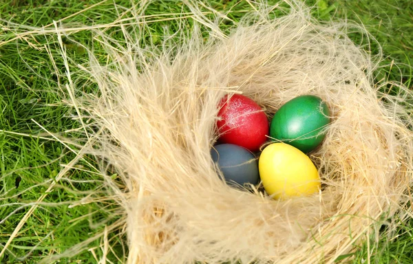 Ovos de Páscoa no ninho — Fotografia de Stock