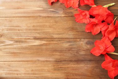 Taze kırmızı çiçekli çerçeve 