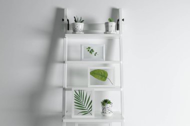 Yaprakları ve succulents çerçevelerle