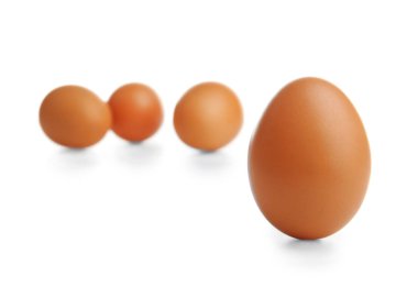 izole kahverengi yumurta 