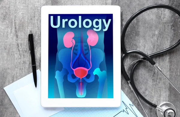 Sistemul urinar și cuvântul UROLOGIE pe ecran . — Fotografie, imagine de stoc