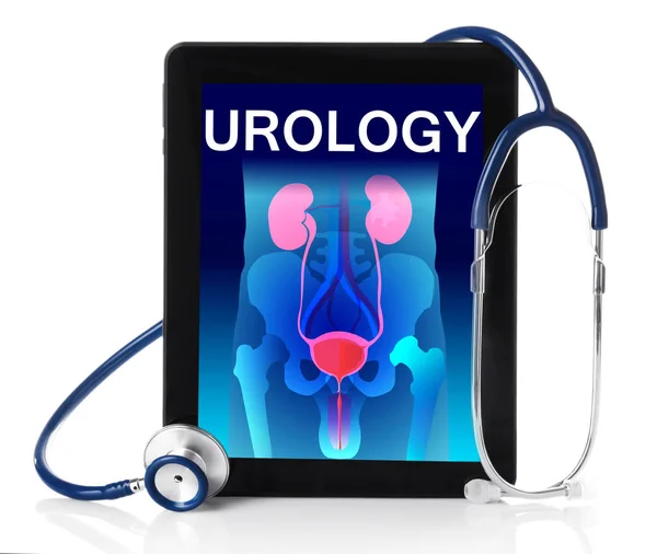 Urinary system and word UROLOGY — Stock Photo, Image