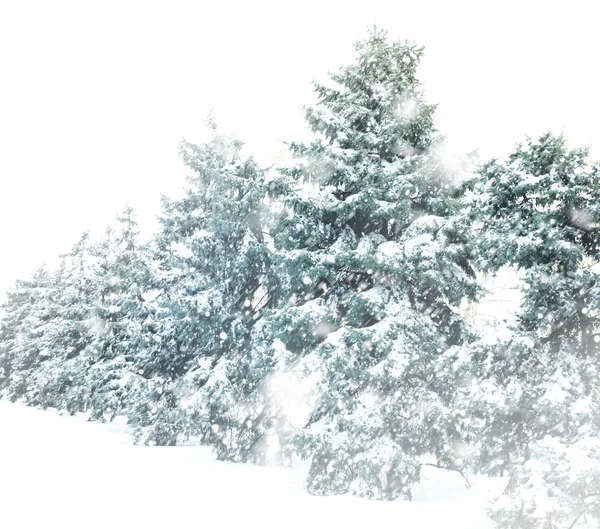 Όμορφο χειμερινό τοπίο — Φωτογραφία Αρχείου